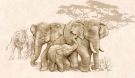 Декор Safari (слоны)