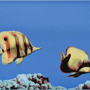 Monocolor Fish 2