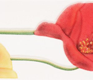 Monocolor Poppy BL 275х70.