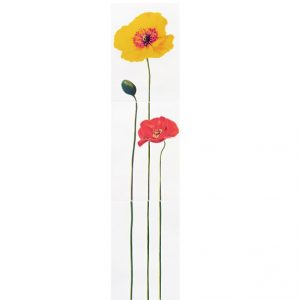 Monocolor Poppy R 275х1200