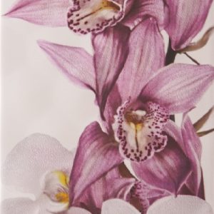 Sote Orchid